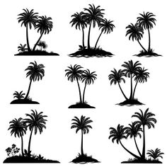 black and white palm trees silhouettes on a white background, set of twelve images