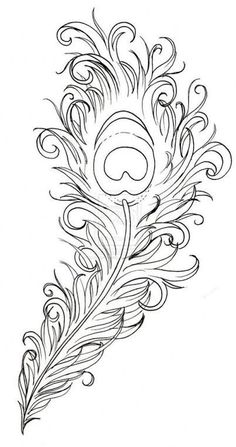 a black and white drawing of a peacock feather