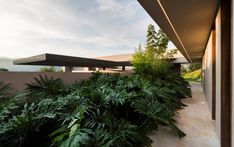 the house is surrounded by greenery and trees on both sides of the building's entrance