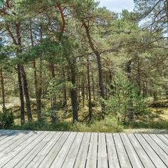 an empty wooden deck in front of some trees