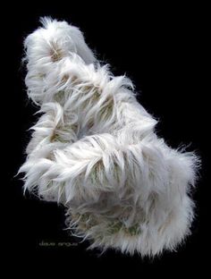 a fluffy white dog is flying through the air with his paws up to its face