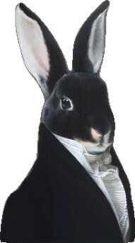 a black and white rabbit wearing a tuxedo