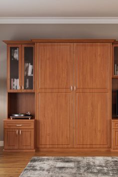 a living room with wooden cabinets and a rug