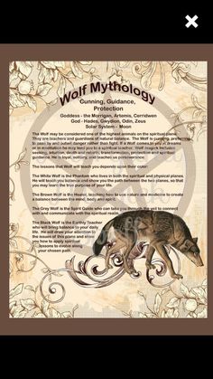 the wolf mythology book cover with an image of two wolfs on it's back