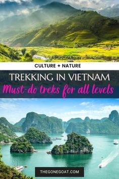 There are over 3,000 kilometres of coastline, a 1,500-year history, and hundreds of traditions that trekking in Vietnam will bring you a most memorable experience. Here are the best treks in vietnam. summer bucketlist travel destinations | asia destinations | travel destinations Cat Tien National Park, Cao Bang, Destinations Travel, Travel Destinations Asia, Asia Destinations, Summer Bucket Lists, Summer Bucket, Best Hikes