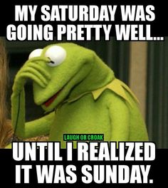 the frog is talking to someone in front of him that says, my saturday was going pretty well until i realizing it was sunday