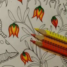 three pencils sitting next to each other on top of a paper with flowers and leaves