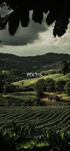 the cover of focus magazine with an image of a field and mountains in the background