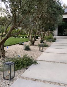 an outdoor walkway leading to a house with trees and plants in the front yard area