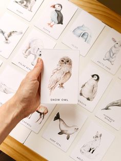 a person holding up a small card with pictures of animals and birds on it's side