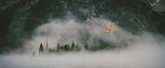 a bird flying through the air over a foggy mountain lake with pine trees in the foreground