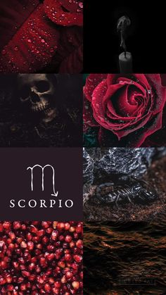 three different images with the word scorpio written in white and red on them