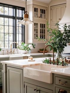 a kitchen with white cabinets and green plants on the counter top, along with an island sink