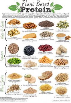 the plant based protein guide for beginners to learn how to use it and why not to