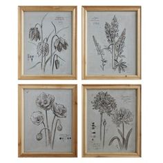 four framed flowers are shown in three different frames