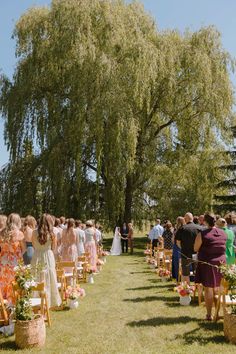 a group of people standing in front of a tree on top of a lush green field