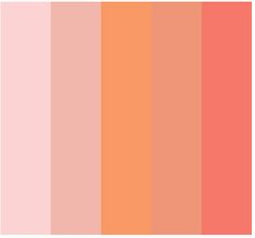 an orange and pink color palette