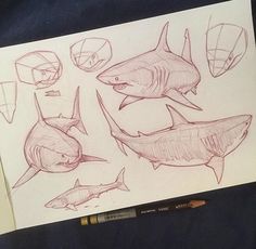 some drawings of sharks on paper with pencils