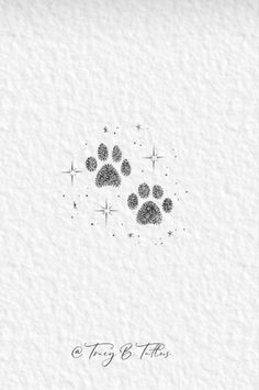 a white card with an image of a dog's paw prints