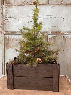 a small pine tree in a wooden box