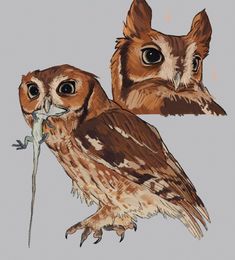 two owls are standing next to each other and one is holding a flower in its mouth