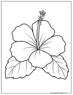 Printable Sunflower Coloring Page, Traceable Flower Drawings, Cute Drawing Ideas Easy Flowers, Hawaiian Flower Coloring Pages, Easy Coloring Drawings, Images To Color Free Printable, Printable Coloring Pages Flowers, Drawings To Colour In, Hibiscus Coloring Page