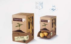 two cardboard boxes with plants in them on a white surface, one is open and the other is closed