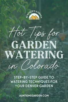 a garden watering hose with the title hot tips for garden watering in colorado