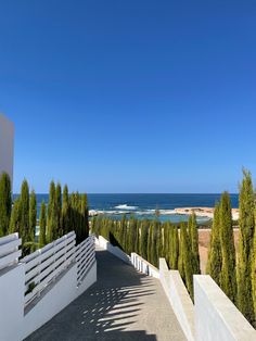 an outdoor walkway leading to the beach with trees on either side and water in the distance