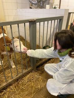 a woman petting a baby cow through a fence