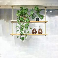 three wooden shelves with plants and vases on them