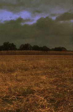 a horse standing in the middle of a field under a cloudy sky with trees behind it