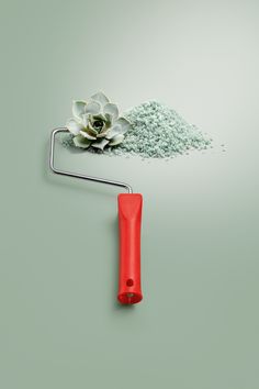 a red paint roller next to a small succulent on a green background with a white flower