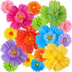 multicolored flowers are arranged in rows on a white background