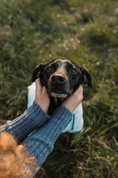 a person holding a small dog in their hand outside on the grass with it's head up