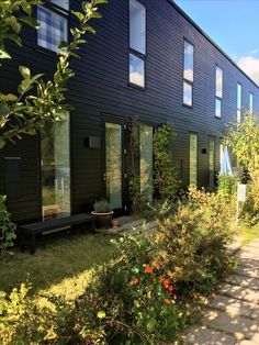 a black house with lots of windows and plants