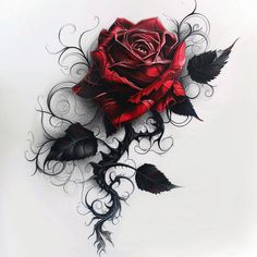 Red Rose Tattoo Vector Pack Dragon And Rose Tattoo, Black And Red Rose Tattoo, Dark Rose Tattoo, Rose Tattoo Flash, Thorn Tattoo, Rose Vector, Tattoo Catalog, Rose Tattoos For Men, Key Tattoos