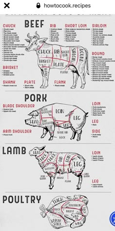 the butcher's guide to different cuts of meat