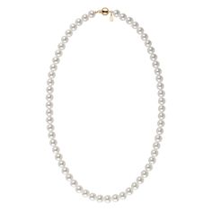 The pearls in this strand measure 6.5-7.0 mm. Every pearl is individually knotted on twin silk so the pearls never rub or scratch, and the necklace is finished with a solid 14 karat clasp with a safety catch. Although akoya pearls are known to be classically white with a hint of rose, this is a look that is influenced post-harvest. In order to achieve this desired color, they are put through a process known as pinking. This is a universal process that nearly every akoya pearl has gone through. We believe, however, that this treatment is not always necessary! By partnering with producers in Japan, we are able to offer a selection of these rare pearls that are simply unrivaled. The pearls have each been hand-selected from freshly harvested pearls for their naturally white body colors and int No Comparison, Rare Pearls, Akoya Pearl Necklace, Laboratory Science, Pearl Strands, Akoya Pearls, Pearl Types, Pearl Color, Body Colour