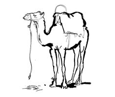 a black and white drawing of a camel