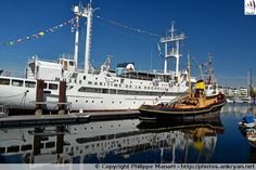 several boats are docked in the water next to each other