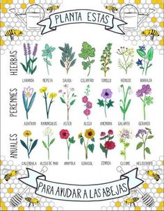 an image of flowers and bees on facebook