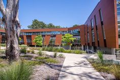 an outside view of a building with trees and plants