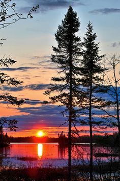 the sun is setting behind some trees and water