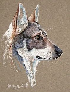 a drawing of a dog's head in pastel pencils and watercolor