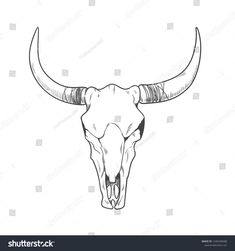 the head of a bull with long horns on a white background, hand drawn illustration