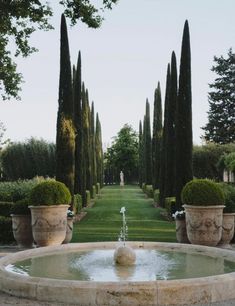 an outdoor fountain surrounded by trees and bushes