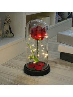 a red rose in a glass dome with lights