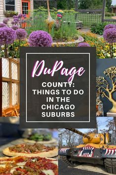 Things to Do In DuPage County Midwest Travel Destinations, Midwest Vacations, Midwest Road Trip, Fancy Restaurants, After Work Drinks, Midwest Travel, Wine Sale, Chicago Suburbs