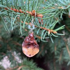 "Real pinecone earrings made with pinecone petals preserved in resin and colored glass beads on a nickel-free french hook with a circle of glass beads to add a pop of color. Pinecone petal is approximately 1\" tall and 1\" wide, but exact size, shape, and color will vary -- all are real pinecone petals from local Rocky Mountain evergreen pines! Resin coating adds shine and structure while preserving the petal for years to come." Pine Cone Earrings Diy, Pine Come Earrings, Pinecones In Resin, Real Pinecone Earrings, Pinecone Earrings, Pine Cone Earrings, Pine Needle Crafts, Free In French, Needle Crafts